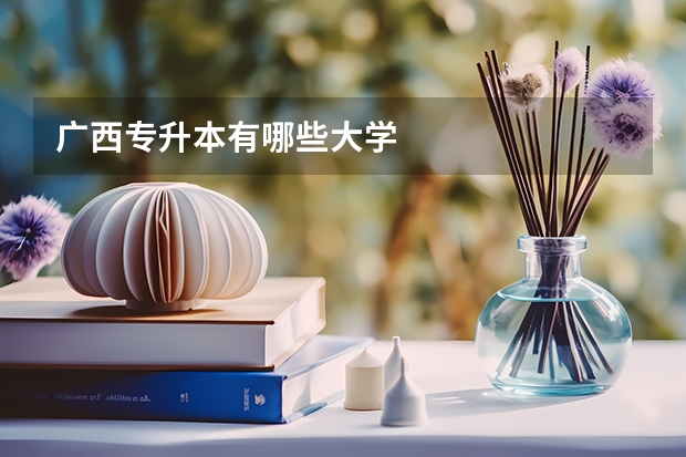广西专升本有哪些大学