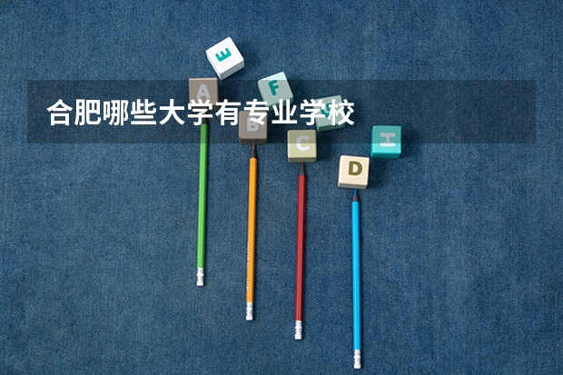 合肥哪些大学有专业学校
