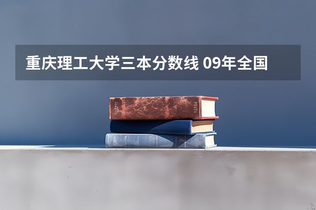 重庆理工大学三本分数线 09年全国各高校的录取分数线