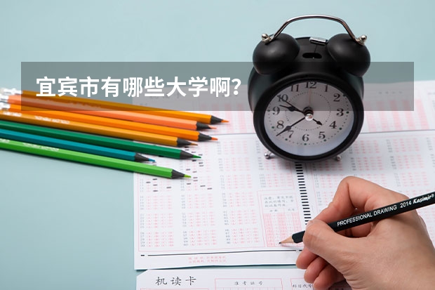 宜宾市有哪些大学啊？