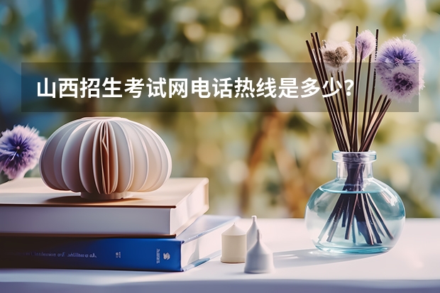 山西招生考试网电话热线是多少？
