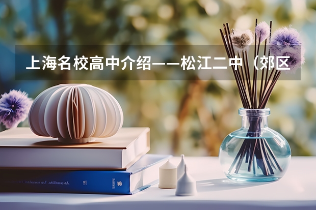 上海名校高中介绍——松江二中（郊区霸主） “横向融合，纵向贯通”，松江教育形成立体化紧密型集团办学格局？