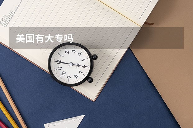 美国有大专吗