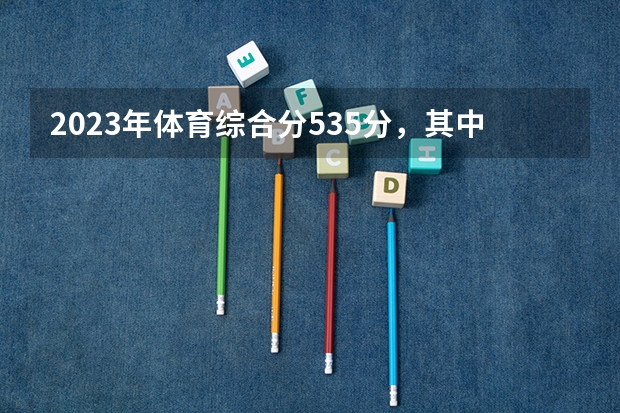 2023年体育综合分535分，其中文化课课295分，可以报哪个学校？