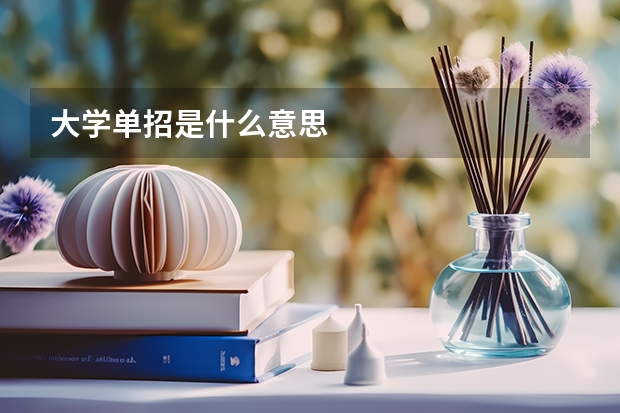 大学单招是什么意思
