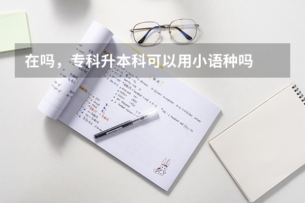 在吗,专科升本科可以用小语种吗