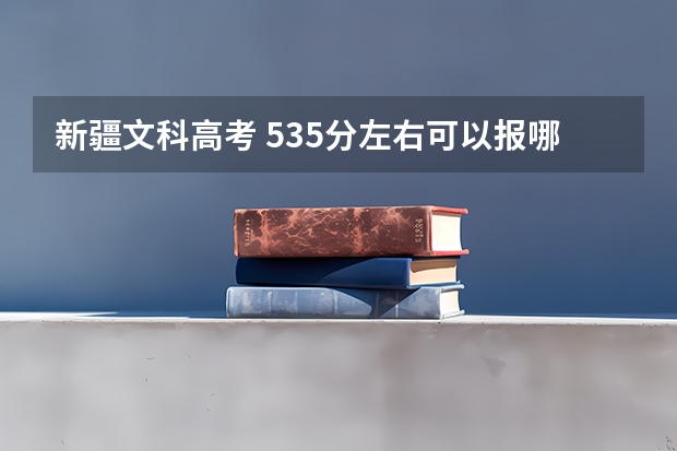 新疆文科高考 535分左右可以报哪些大学