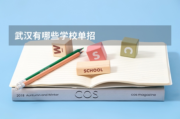 武汉有哪些学校单招