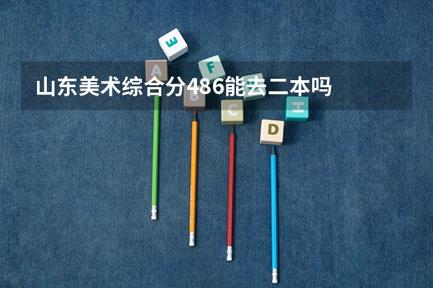 山东美术综合分486能去二本吗