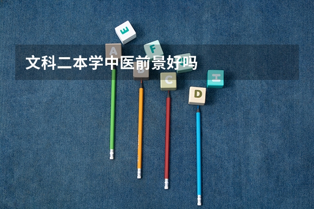 文科二本学中医前景好吗