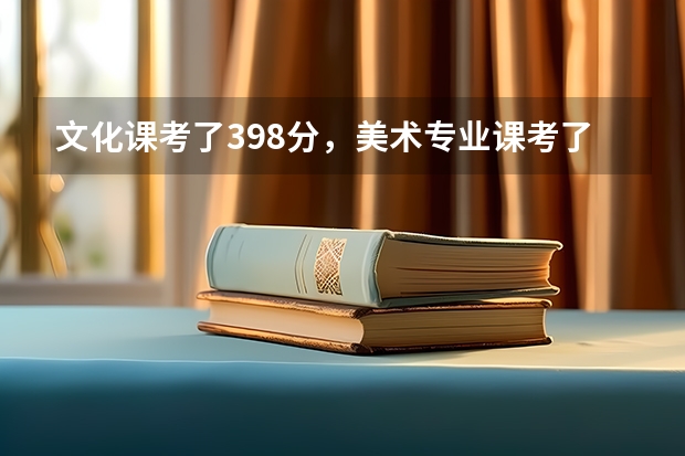 文化课考了398分，美术专业课考了196分，想在河北省上本三，有哪些学校能上啊？？