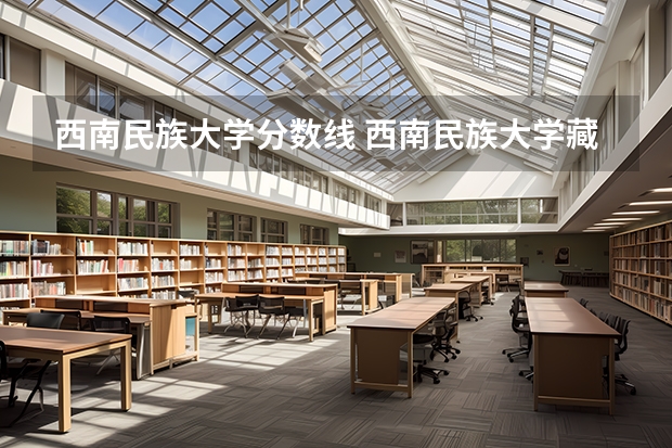 西南民族大学分数线 西南民族大学藏文专业录取分数