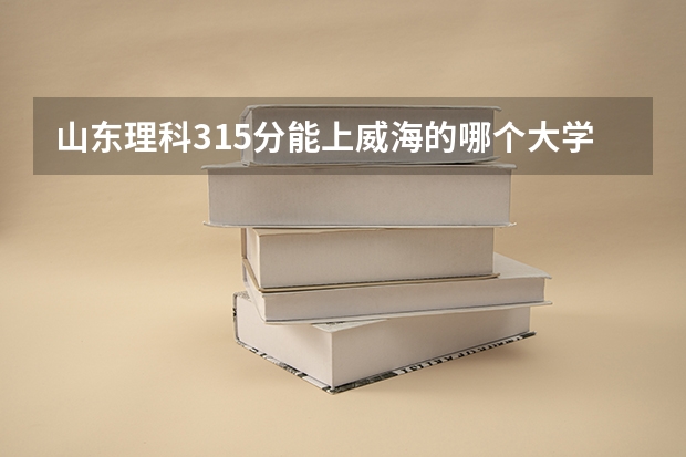 山东理科315分能上威海的哪个大学？
