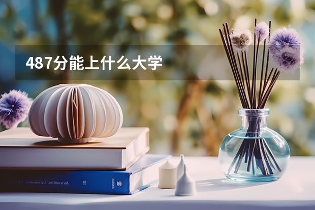 487分能上什么大学