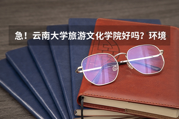 急！云南大学旅游文化学院好吗？环境好吗？公办还是民办的？文凭被承认吗？宿舍怎样？是三本吧？