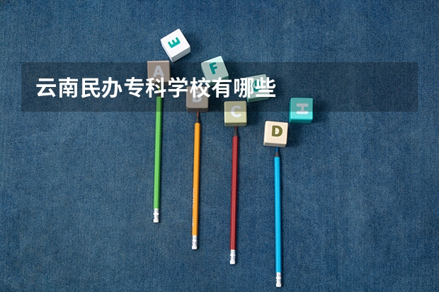 云南民办专科学校有哪些