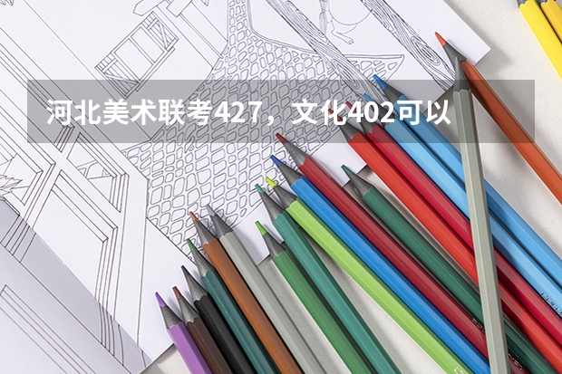 河北美术联考427，文化402可以报什么学校啊