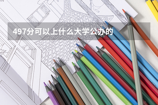 497分可以上什么大学公办的