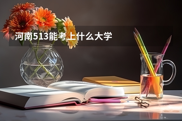 河南513能考上什么大学