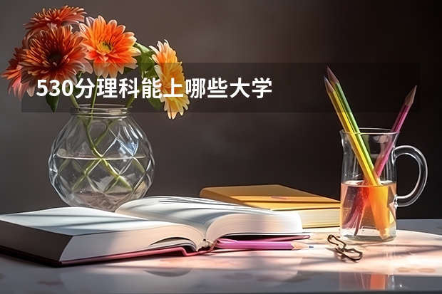 530分理科能上哪些大学