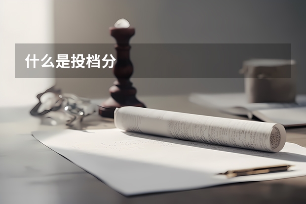 什么是投档分