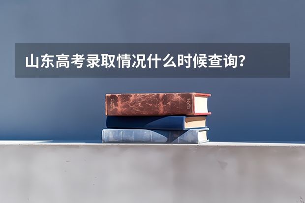 山东高考录取情况什么时候查询？
