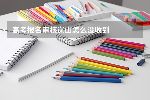高考报名审核岚山怎么没收到