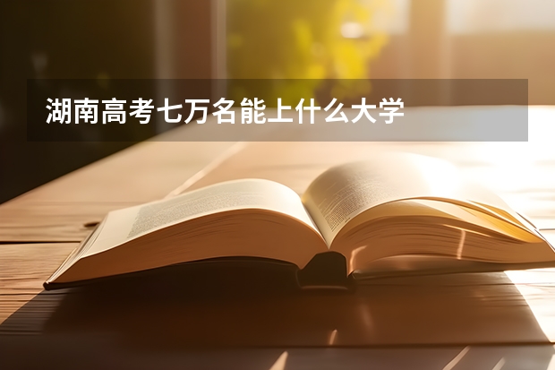 湖南高考七万名能上什么大学