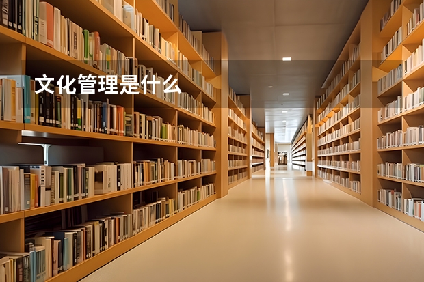 文化管理是什么