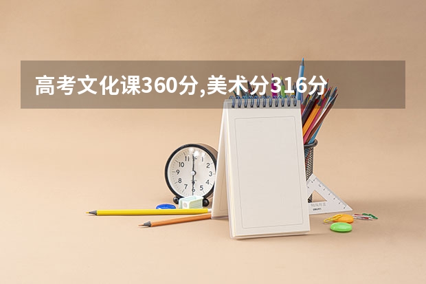 高考文化课360分,美术分316分能上河南财经政法大学吗？