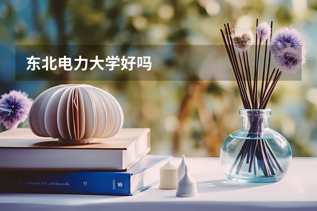 东北电力大学好吗