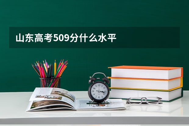 山东高考509分什么水平