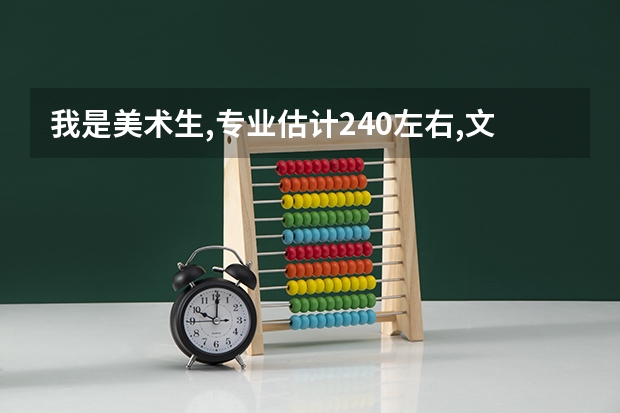 我是美术生,专业估计240左右,文化课估计350左右,能上什么大学啊???急??