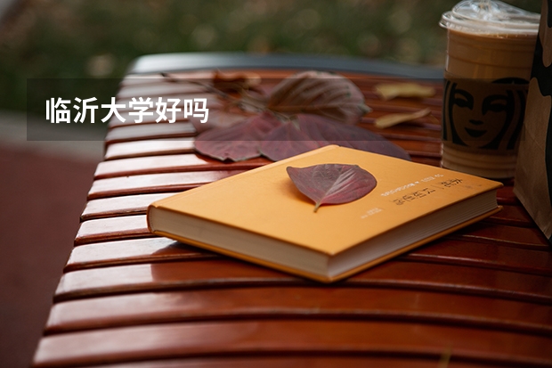 临沂大学好吗