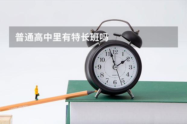 普通高中里有特长班吗