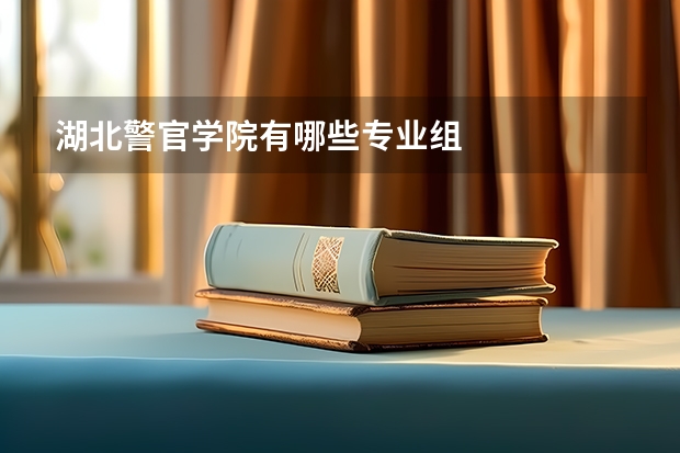 湖北警官学院有哪些专业组