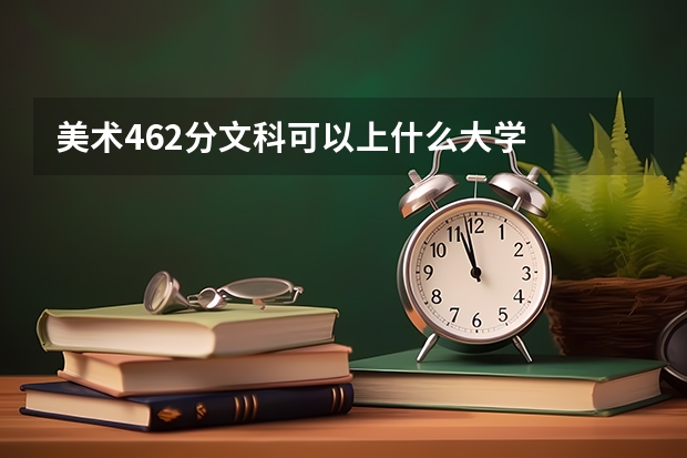 美术462分文科可以上什么大学