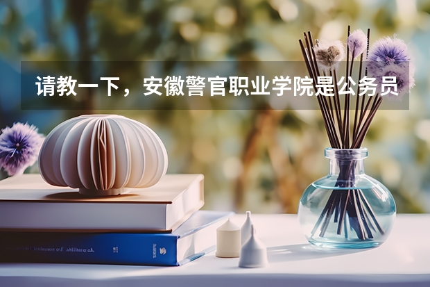 请教一下，安徽警官职业学院是公务员编制吗？