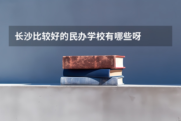长沙比较好的民办学校有哪些呀