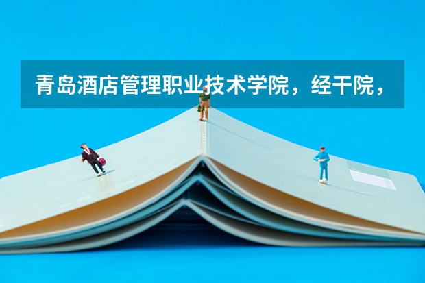 青岛酒店管理职业技术学院，经干院，山东外贸职业学院哪个更好？济南文科461能上哪个？