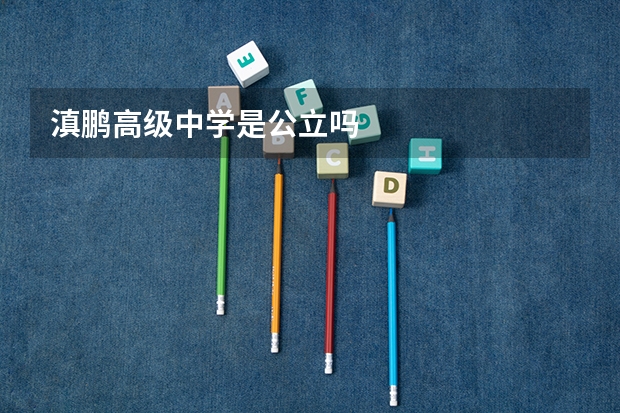 滇鹏高级中学是公立吗