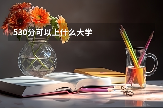 530分可以上什么大学