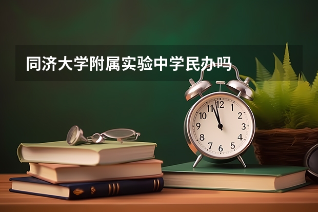 同济大学附属实验中学民办吗