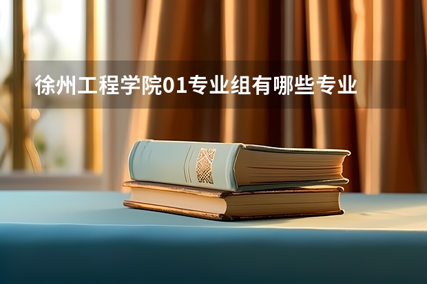 徐州工程学院01专业组有哪些专业