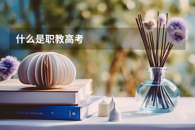 什么是职教高考