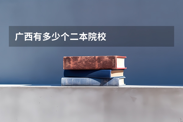 广西有多少个二本院校