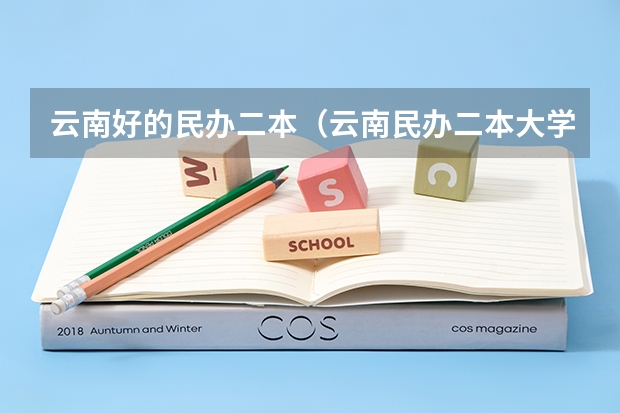 云南好的民办二本（云南民办二本大学排名）