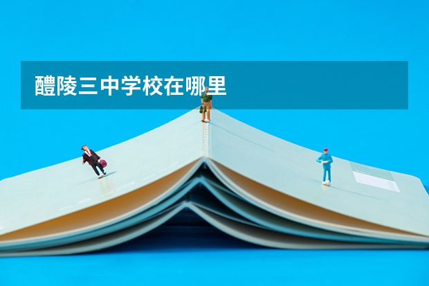 醴陵三中学校在哪里