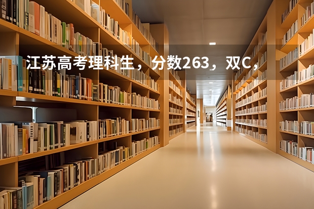 江苏高考理科生，分数263，双C，能上什么学校？