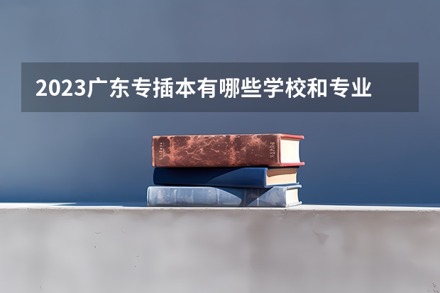 2023广东专插本有哪些学校和专业